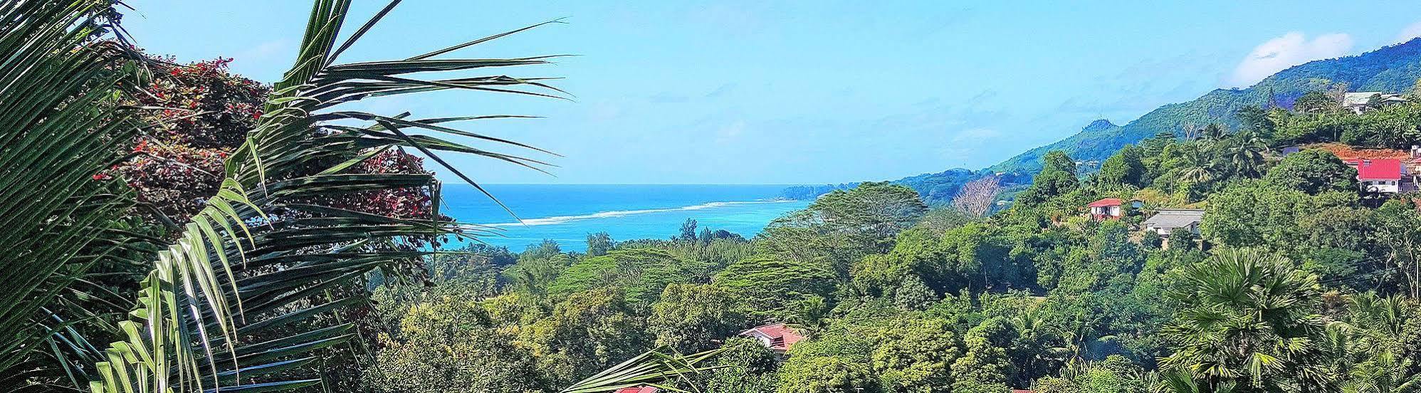 Lime Hill Lodge Anse aux Pins Bagian luar foto
